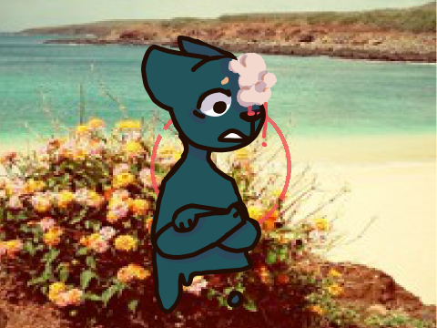 — d r i p n —