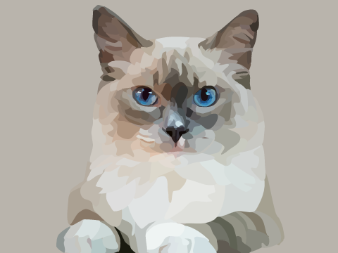 Ragdoll Cat Blockshade