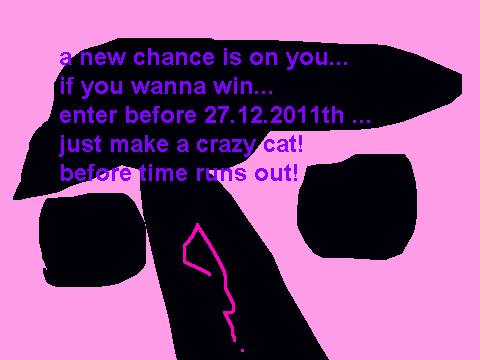 make a crazy cat contest