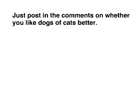 Dogs vs. Cats