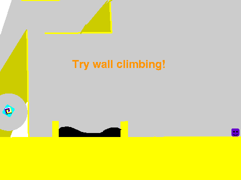 Complete Opposites: A PLATFORMER