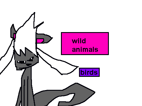 animals in danger