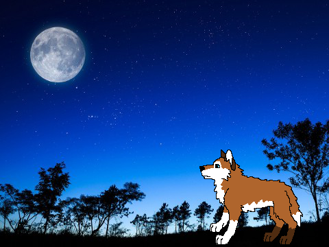Howl