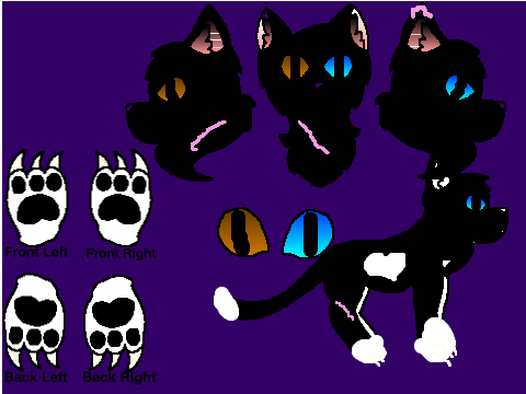50 Followers: Make a Cat For My Upcoming Game! remix