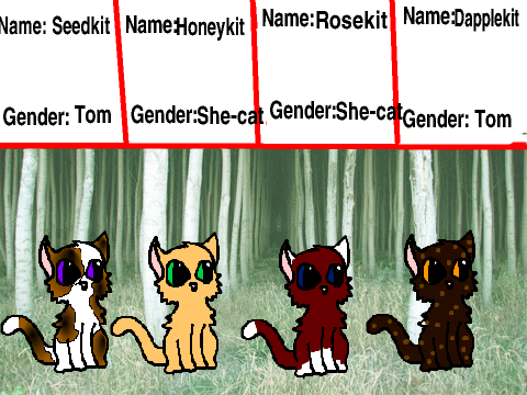 Lilystem's and Thrushwing's kits