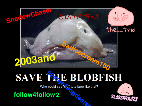 Sign Your Usename If You Want Blobfish To Stay here remix remix remix remix remix remix remix remix