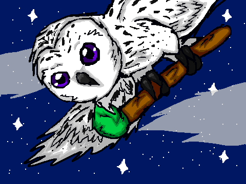 ~Barn Owl Colouring Contest Entry~!