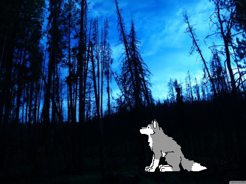 Interactive Wolf