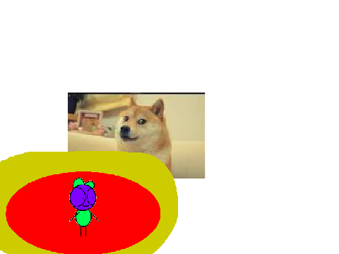 Doge [removed] BarneyBross