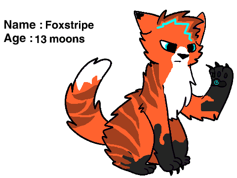 Warrior Cats!