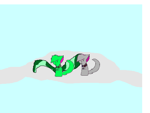 Cat CC