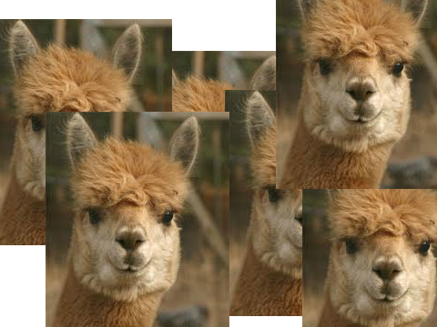 llama llama llama llama