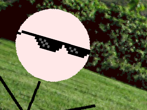 {Improved} Dankest bottle flip Ever!
