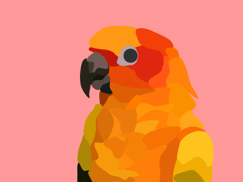 Sun Conure - Block Art