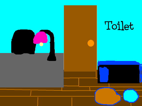 toilet's room