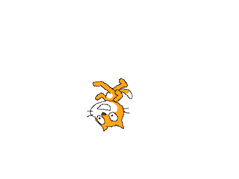 Fling Scratch The Cat #2