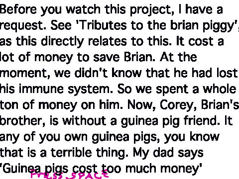 Get Corey a Guinea Pig Friend!