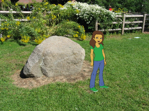 Nature Art Gallery 