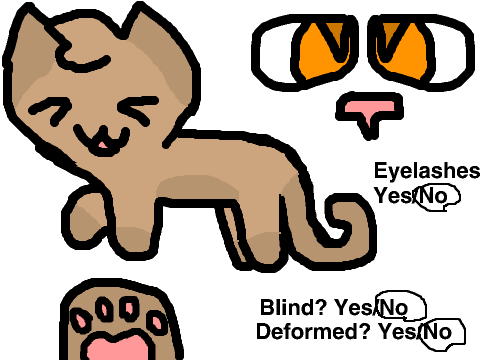 Warrior Cats: doekit-doesong
