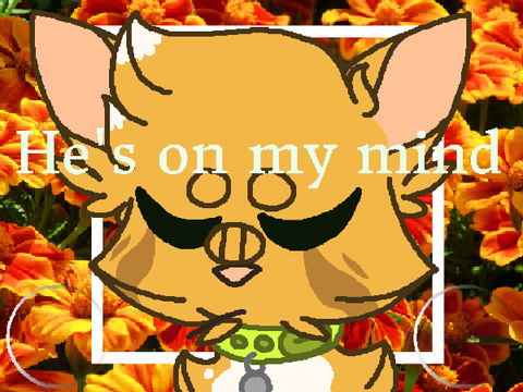 --He's on my mind-- (Animation meme)