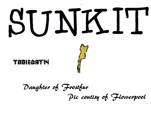 SUNKIT