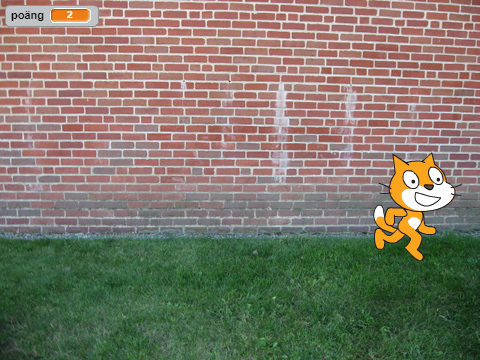 katte 1