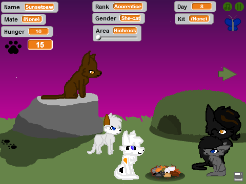 Warrior Cats: Kit to Leader