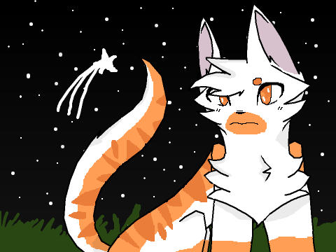 - Outside - OPEN CC - Littlestar -