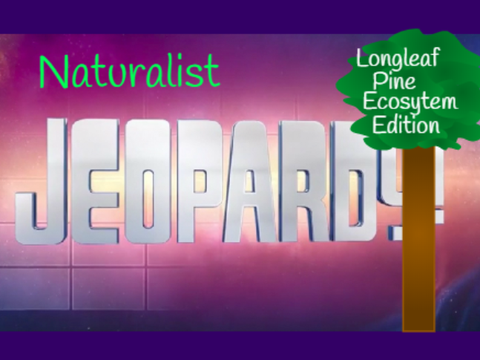 Naturalist Jeopardy - Longleaf Pine Ecosystem Edition