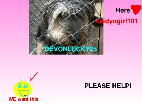  STOP ANIMAL CRUELTY (sign and comment)
