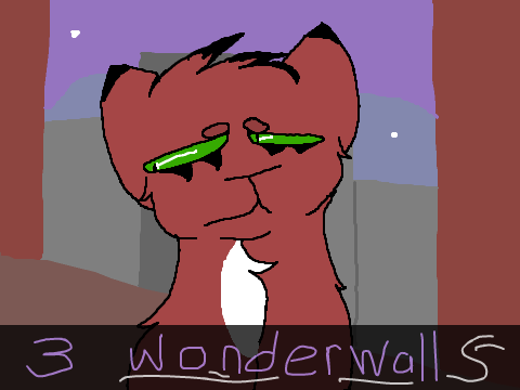 3 | Wonderwall MAP 