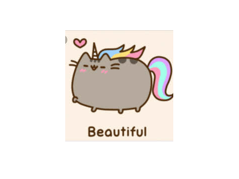 pusheen cat