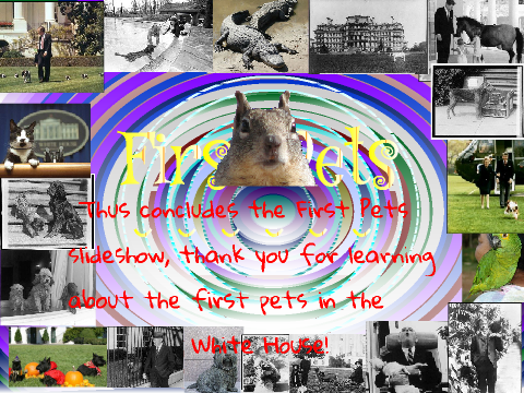 The First Pets!