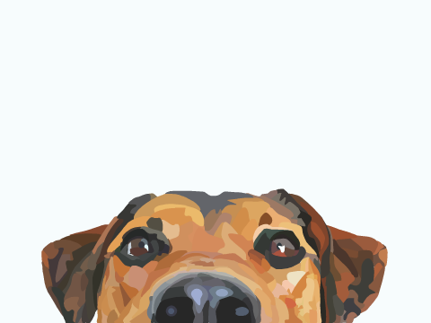 Cute Dog Blockshade  ◦ﻌ◦◝