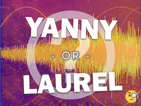 Yanny vs Laurel: Vote