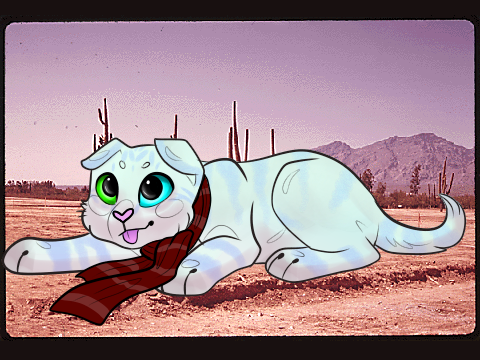 mixie the scottish flod 