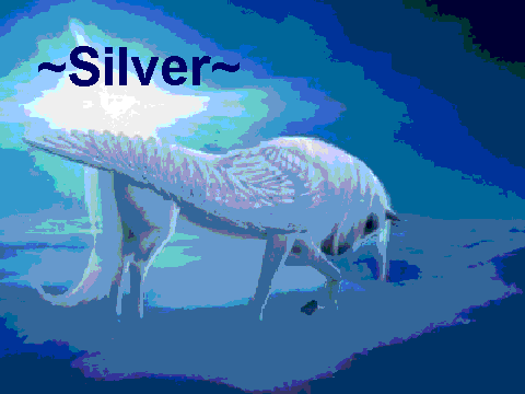 Auditions_for_Horse_Tales[1]~entryfor silver