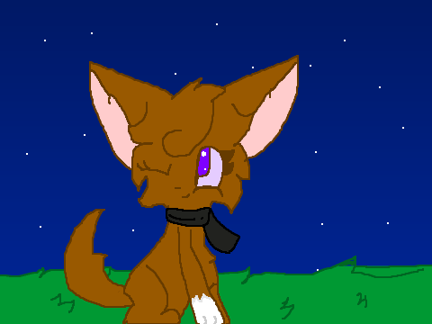icon for -AmberKitti-