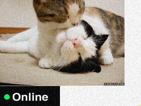 Online or not that is the question?