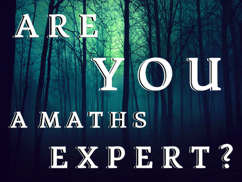 Are You A Maths Expert?