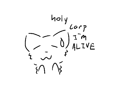THE FLOOFO LIVEESSSSSS