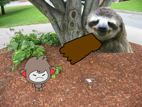 sloth wins!
