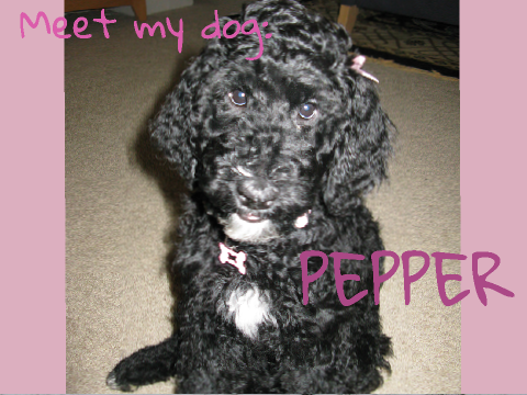 Meet my dog!