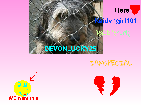  STOP ANIMAL CRUELTY (SIGN IN AND COMMENT)  remix