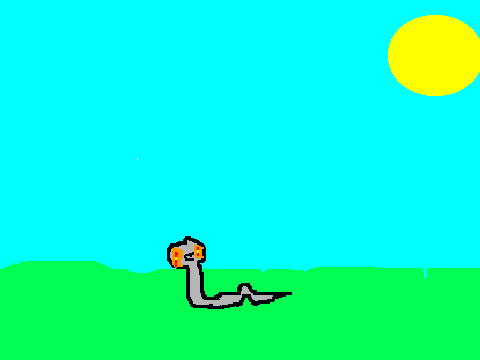 snake run cycle