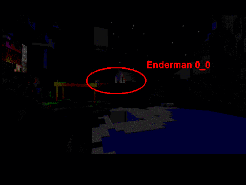 An Enderman Video