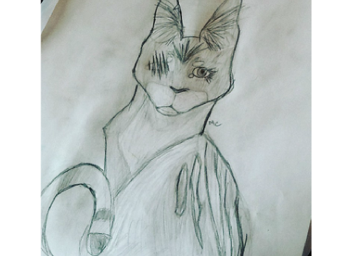 Amberfern Drawings ((  2 ))