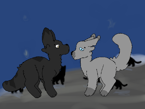 Run Wild ~Warriors~ 