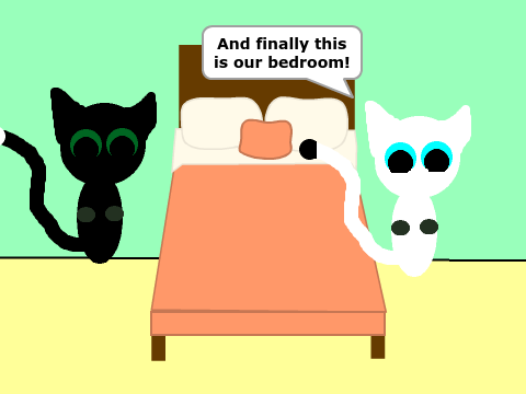 White and black cat