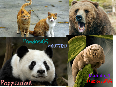 Sign If You Are Against Making Animals Extinct! remix remix remix remix